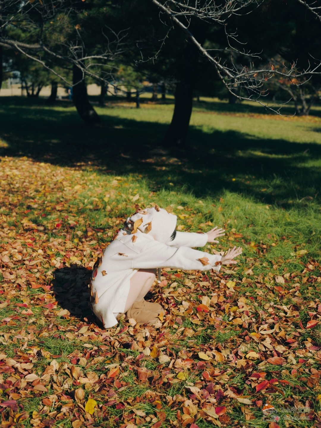 2ch:大原优乃翻跟头了