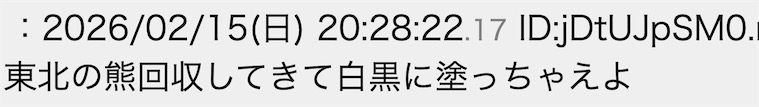 熊猫虽然没了，日本上野公园举办了没有熊猫的“熊猫春节庆典”