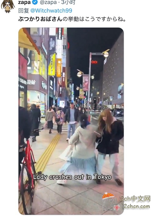 来自中国台湾的小女孩在日本旅游时被日本大妈狠狠撞倒