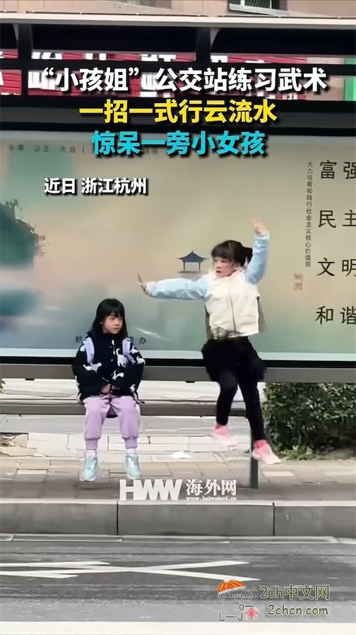中国的“小孩姐”水平太高了wwwww 日本网民怀疑是AI