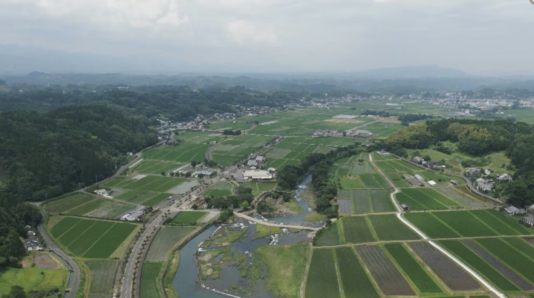 中国男子为了养孩子赴日打工，盯上14名日本老头实施猥亵 妻子：“我会等他回来”