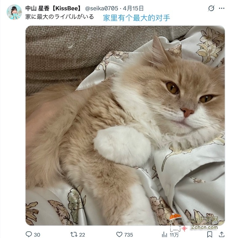 2ch：日本女偶像「这就是和我交往的好处」