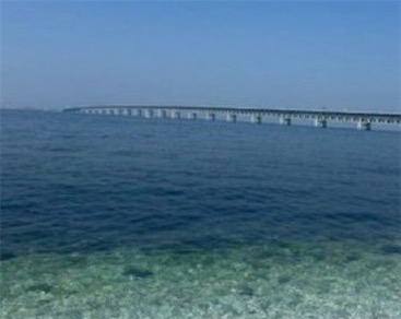 访日中国人「为什么小日本的海那么干净？」 中国网民「核辐射杀死了鱼，水自然就干净了」