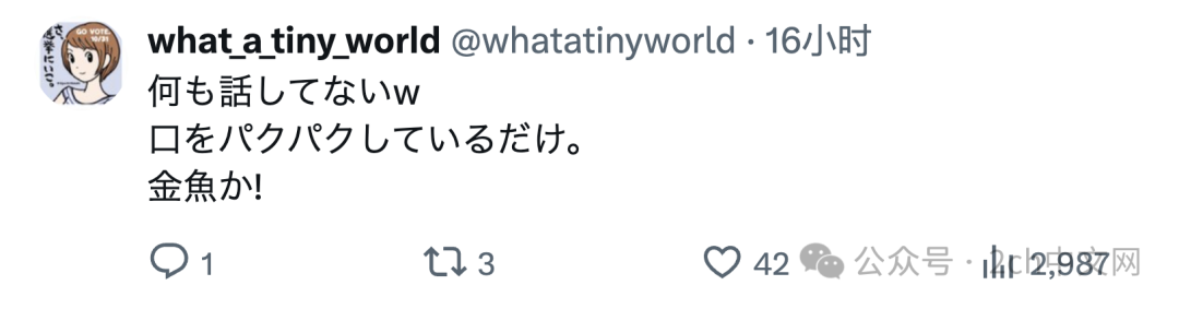 日本宣传高市在G7与其他人畅谈,反而暴露了她对着空气说话的真相