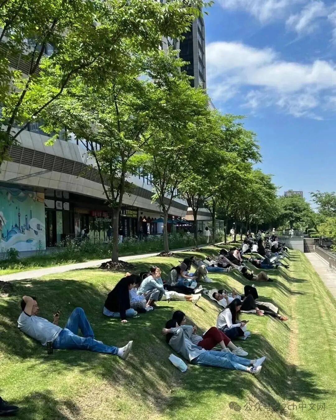 来自中国的躺椅草坪，让日本人赞不绝口
