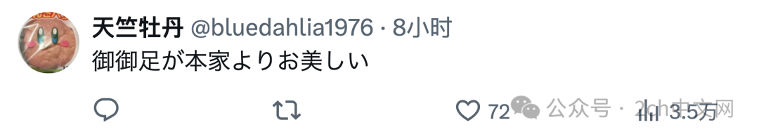 中国最新土味直播传到日本,日本“美魔女”组合开始模仿了