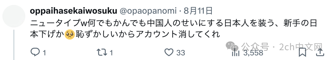 日本烟火大会上一对情侣挡在他人前面拍摄,日本网民:他们说中文