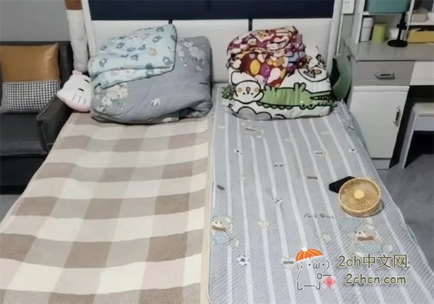 2ch：为了省钱，中国年轻人与陌生人“拼好床”