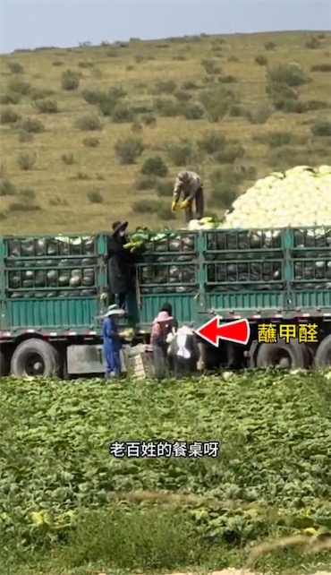 2ch：中国产白菜被曝出违规使用致癌性甲醛溶液