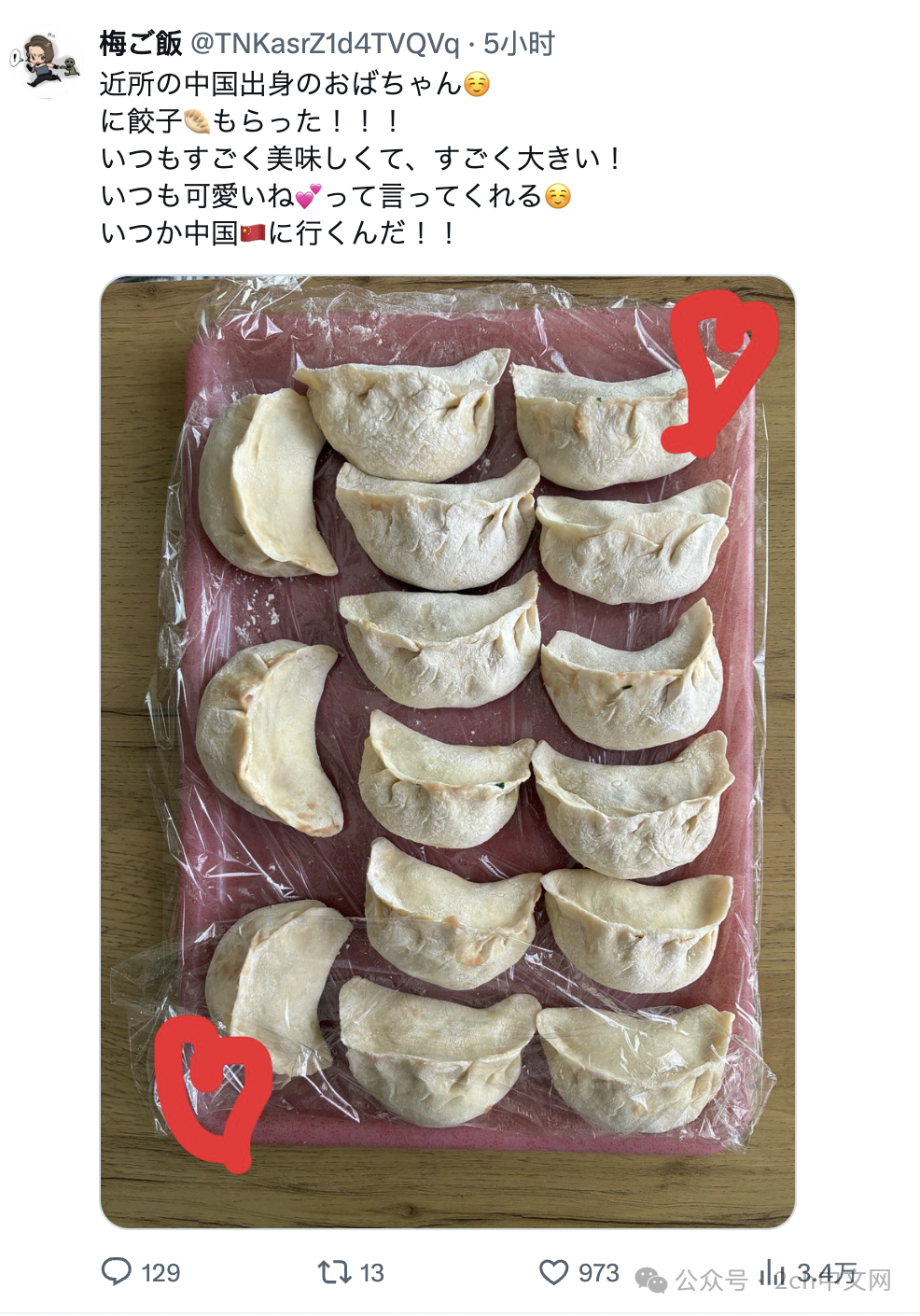 日本网民：中国邻居阿姨送了一些饺子，还夸我很可爱