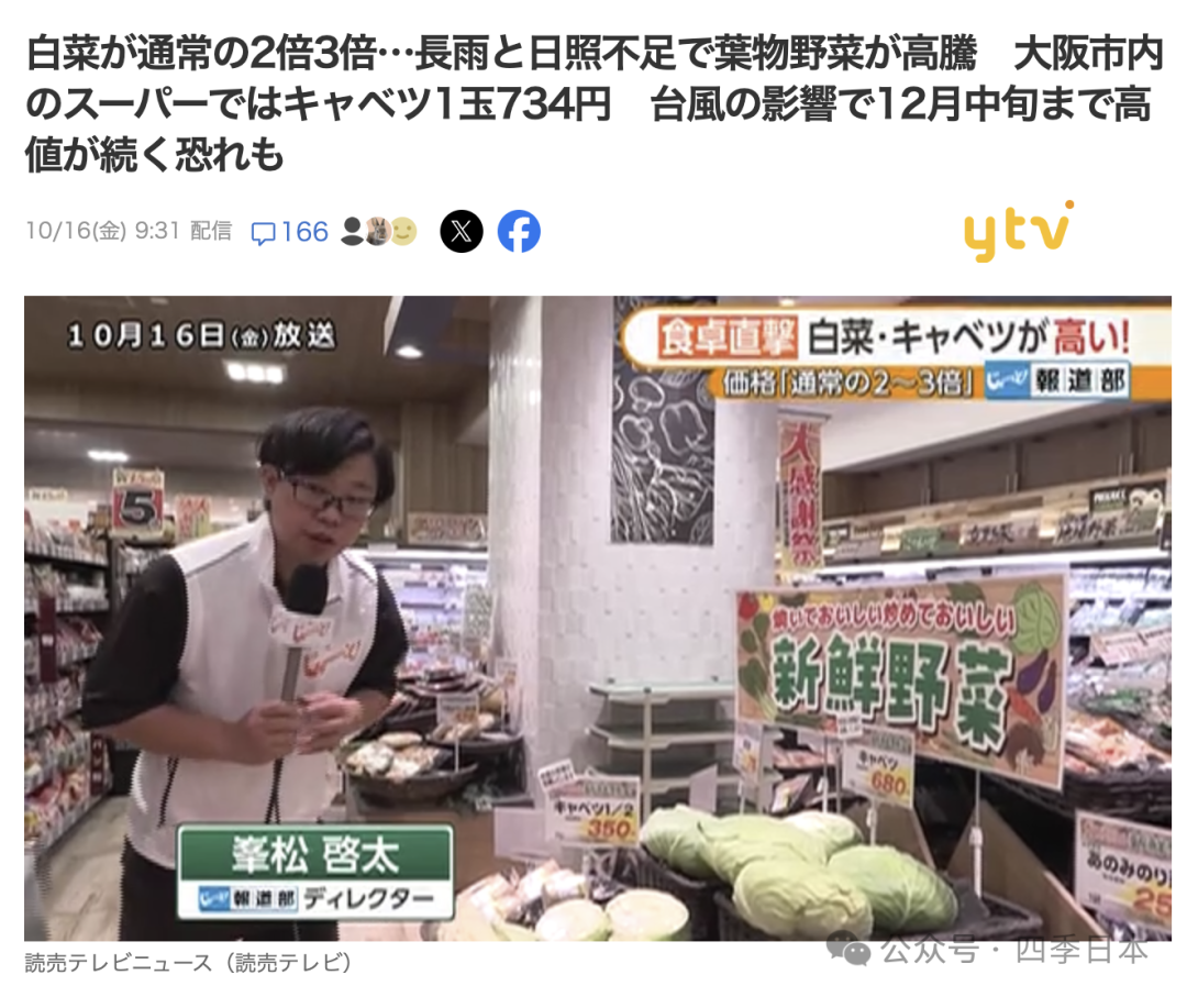 日本卷心菜涨到31元人民币1颗，白菜切成1/4卖，专家建议多吃土豆和胡萝卜