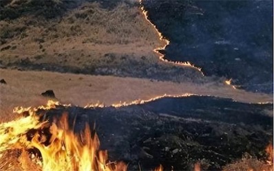 2ch：【中国媒体】蒙古国草原大火逼近中国，日本道歉只道一半，没有向中国道歉